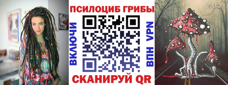 Купить  Ардон  Псилоцибиновые грибы прущие грибы 